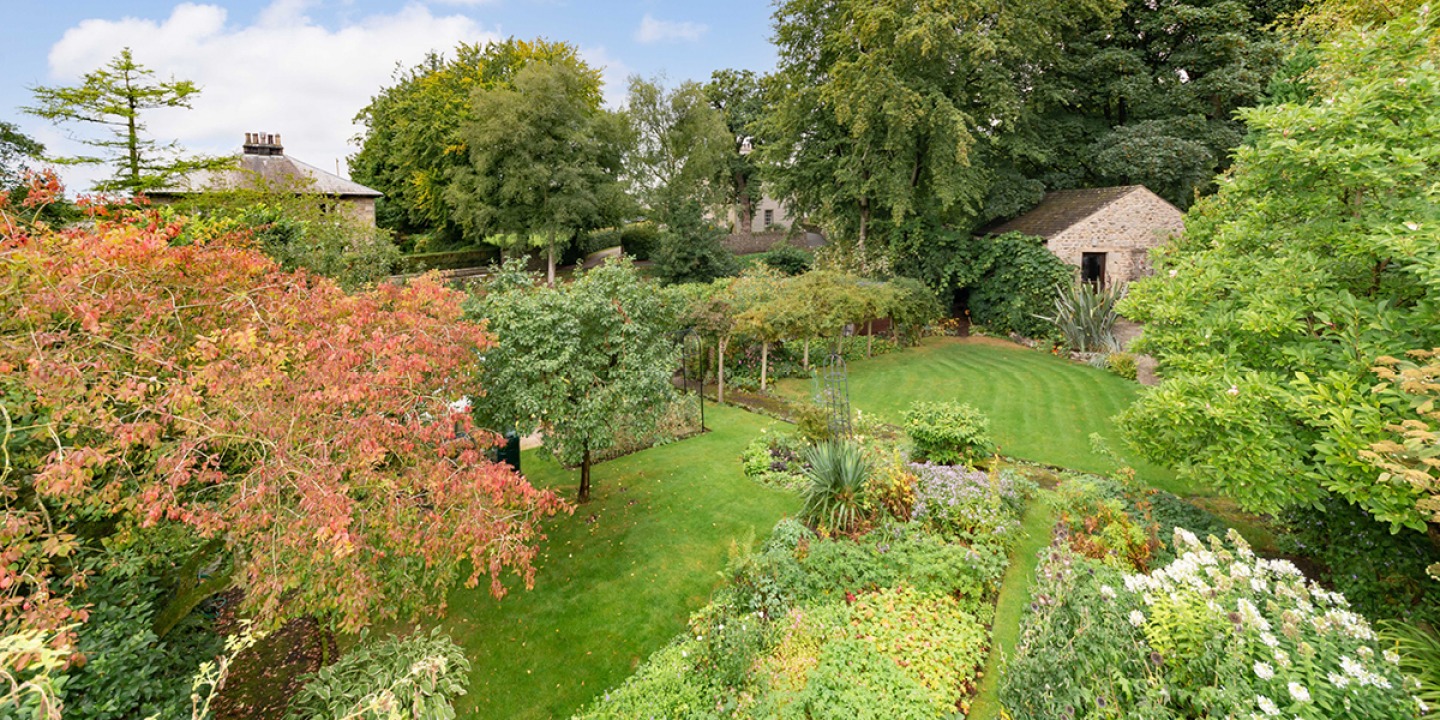 Lush Gardens