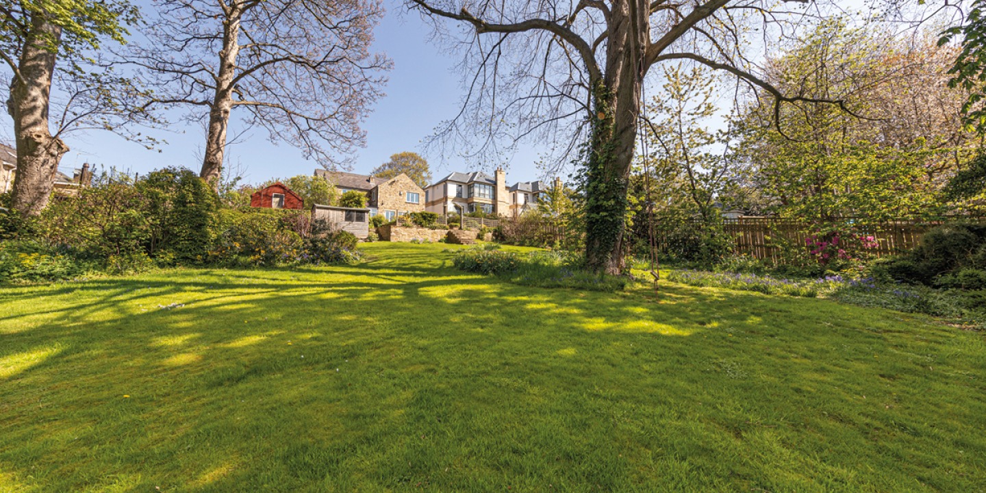 large lawned garden with trees and shrubs
