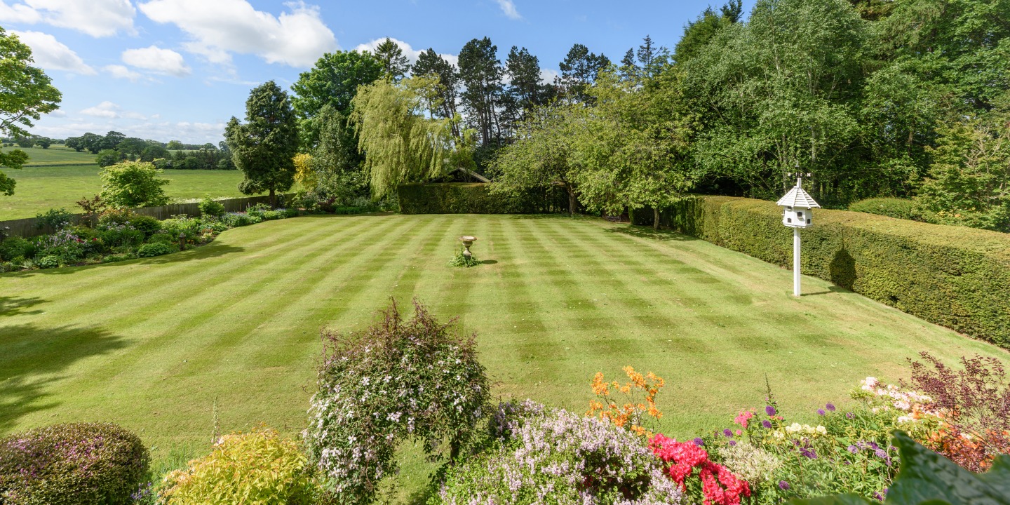 Well kept garden