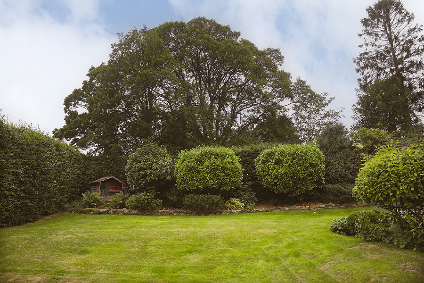 lawned garden trees and bushes