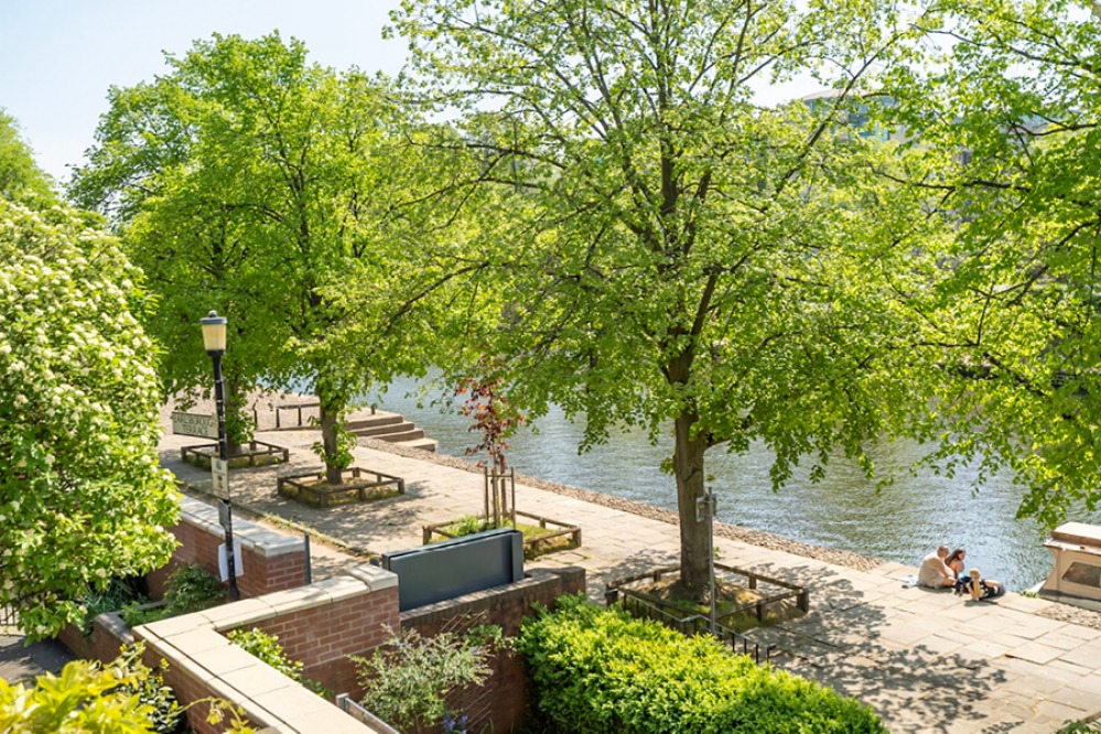 Tree lined river side