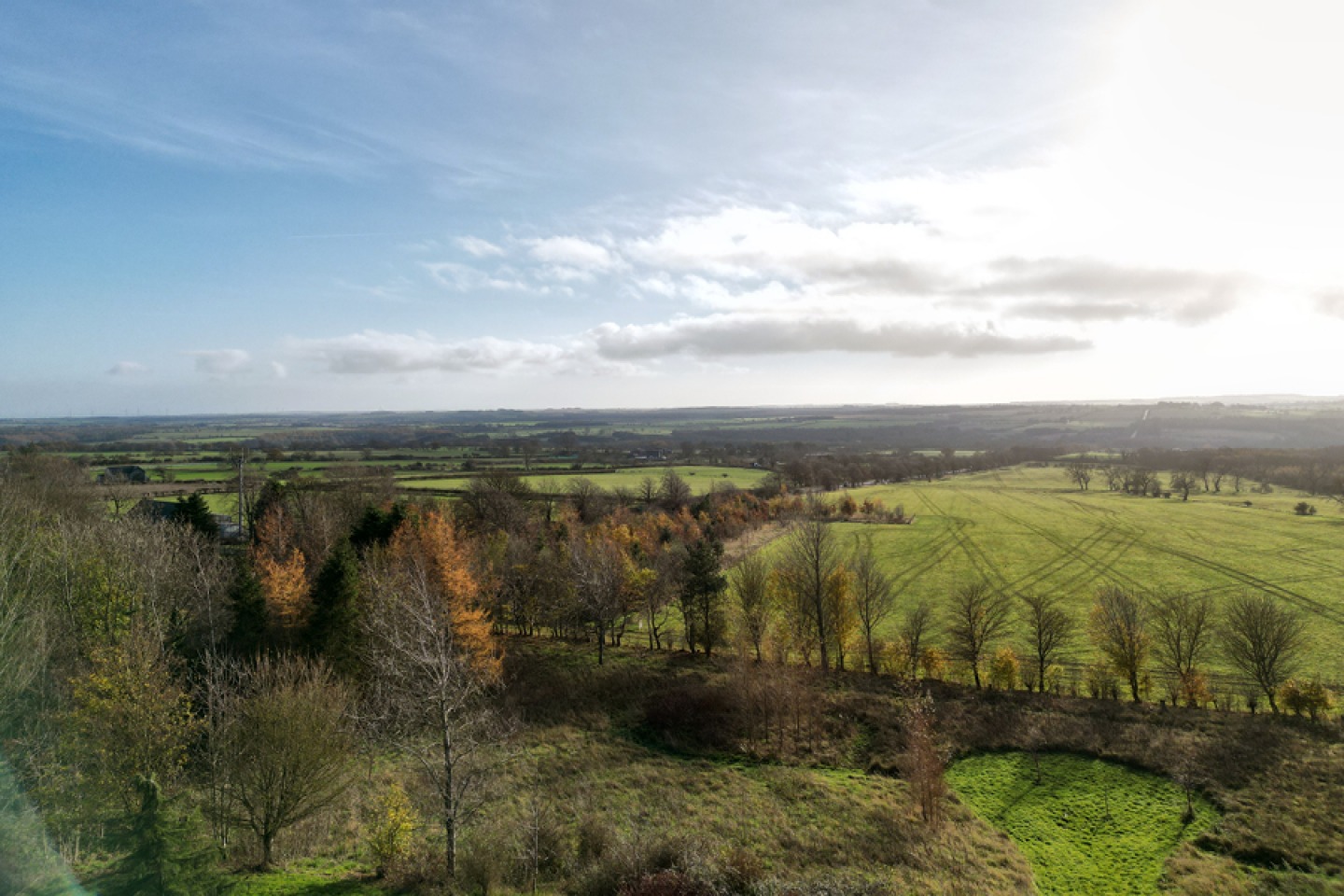 View over green fields and trees