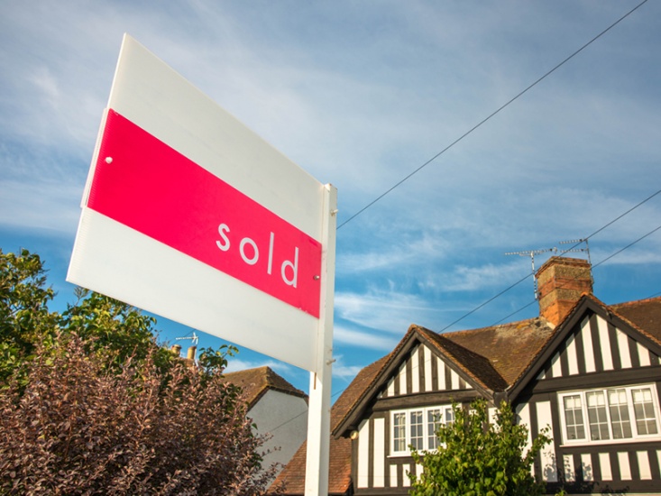 Experts Share Their Knowledge on the Housing Market