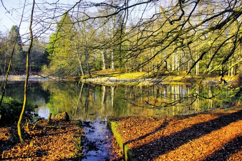 Wallington