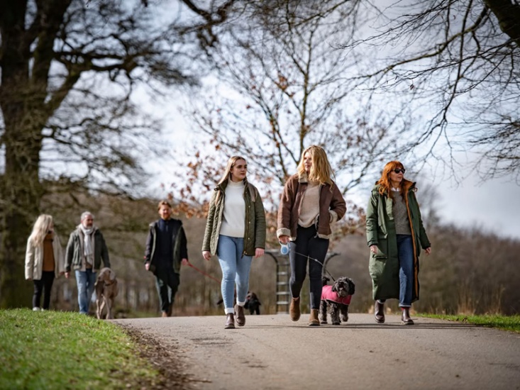 Dog-Friendly Days Out