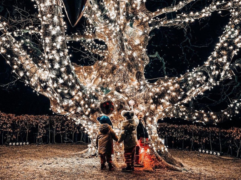 christmas family