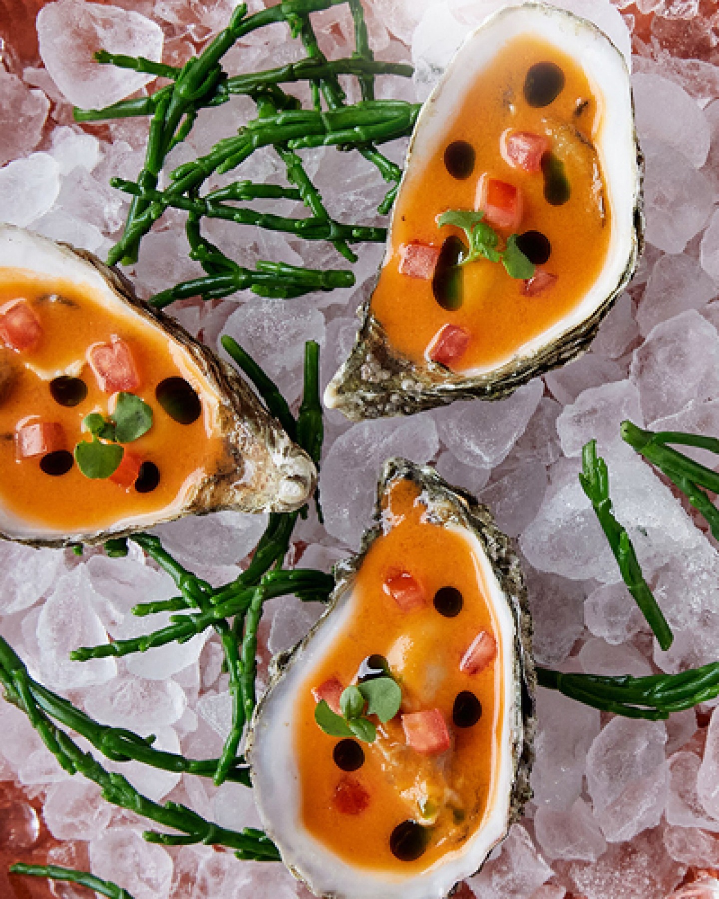 Oysters on ice