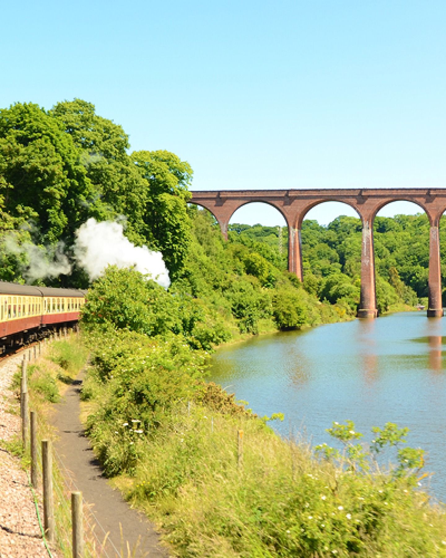 Steam train with Larpool Viaduct in background