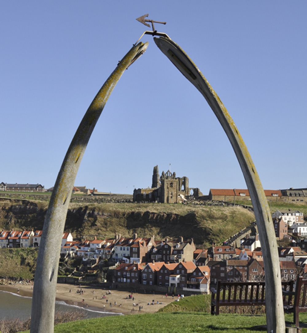 Whale bones at Whitby