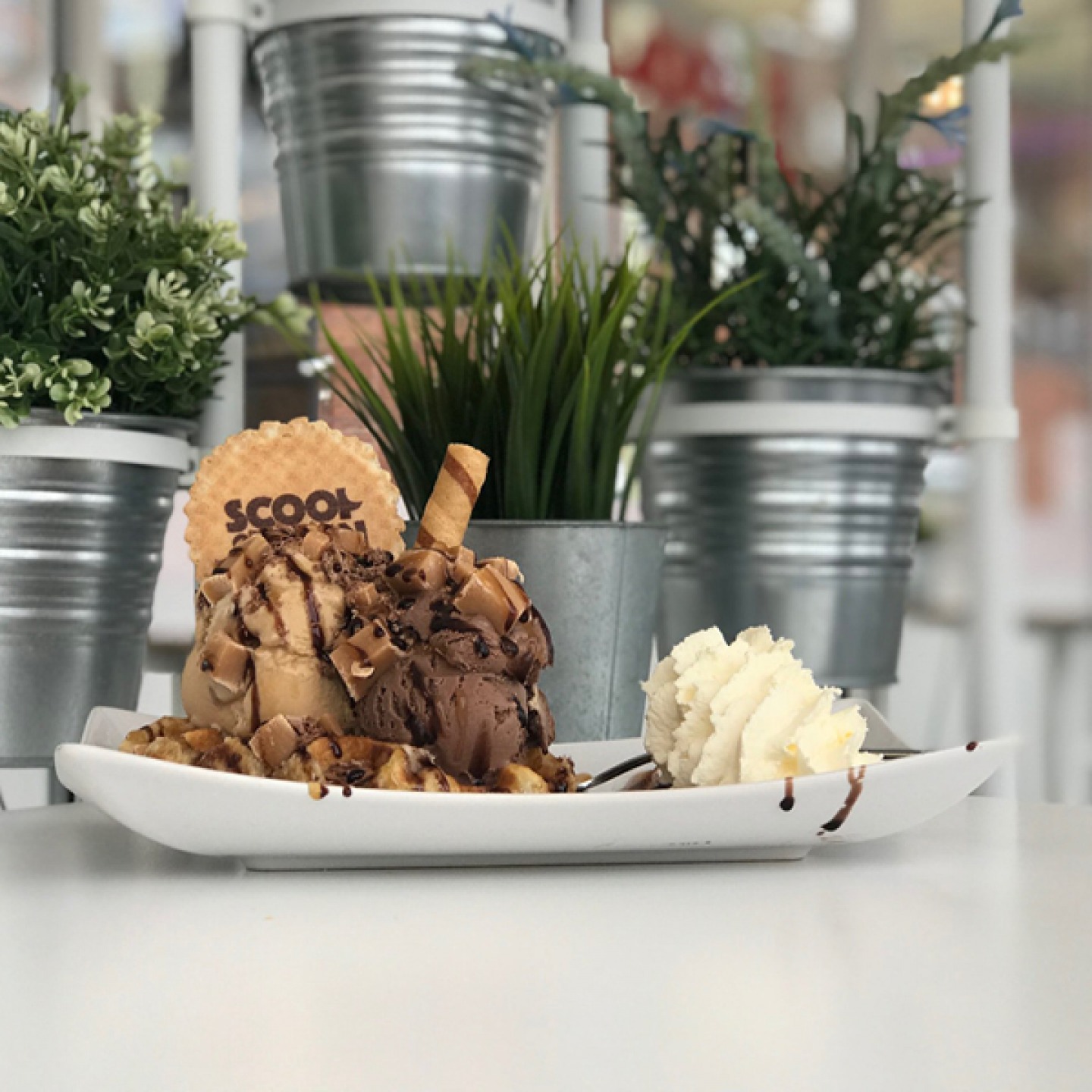 Ice cream and wafers on a plate with cream
