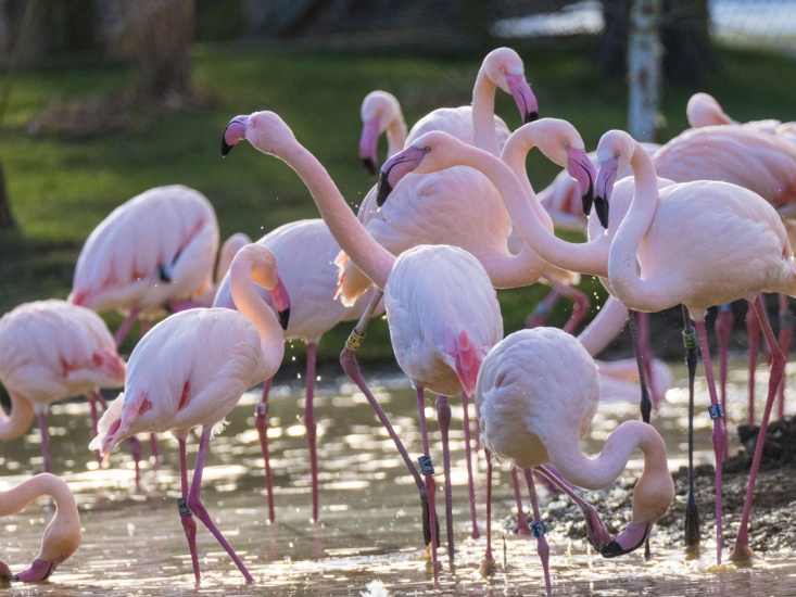 Where to See Animals and Wildlife Across Yorkshire this Summer