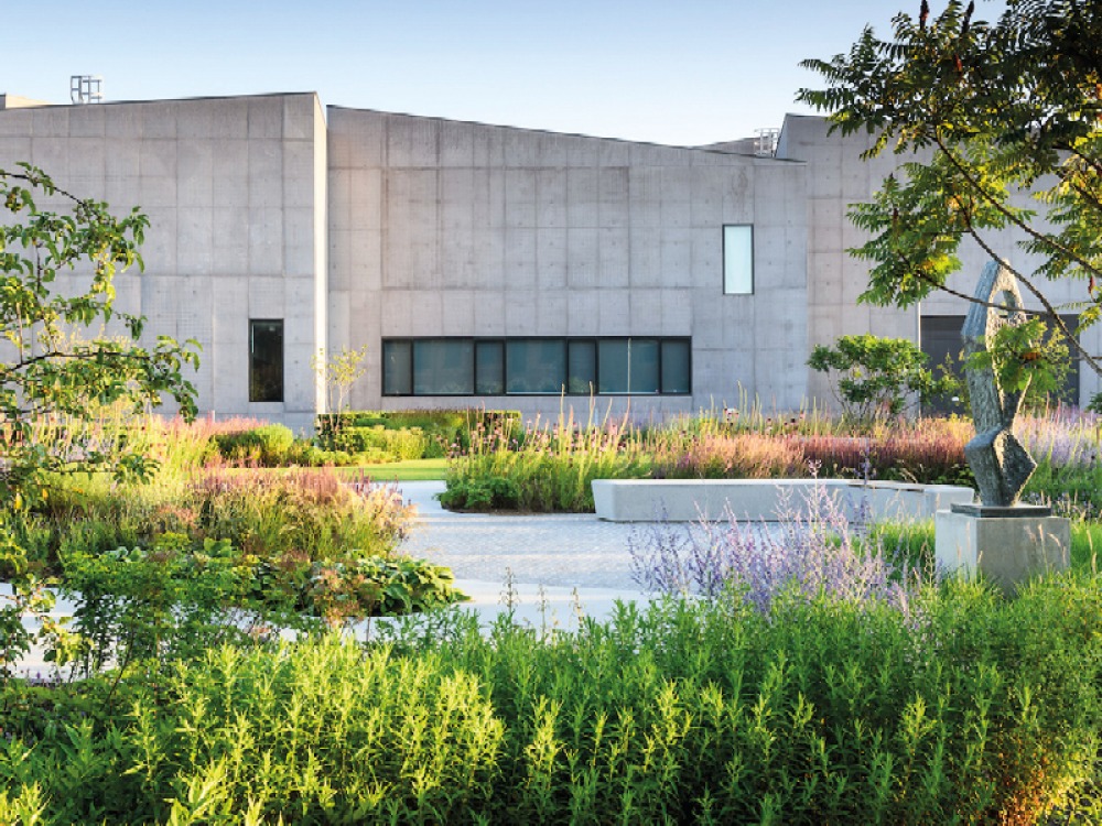The Hepworth Wakefield Garden - Summer 31st July 2020