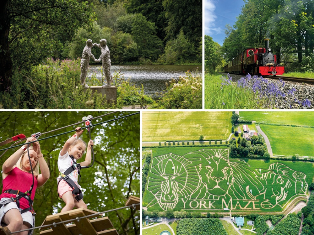 Where to Go With Your Family in Yorkshire This Summer
