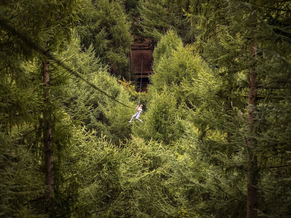 Go Ape! Dalby Forest