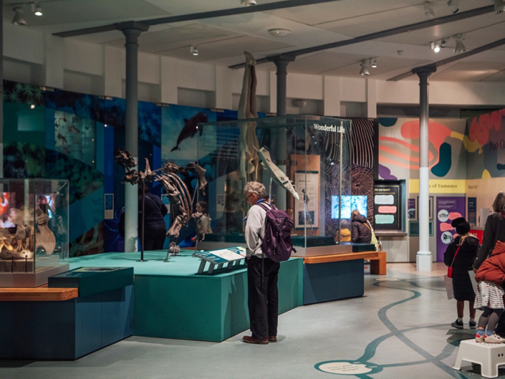 Leeds City Museum
