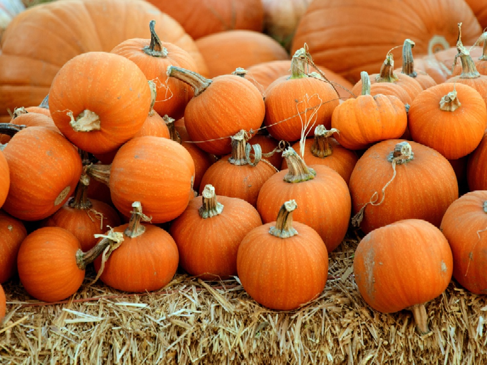 Pumpkins