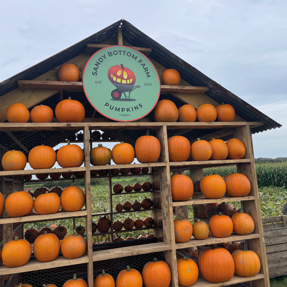 Sandy Bottom Farm