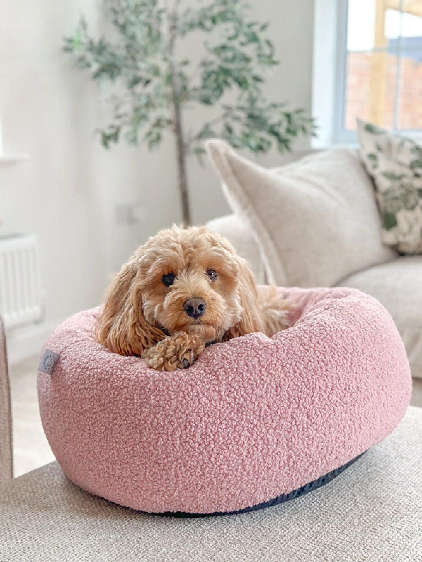Design Your Own bed