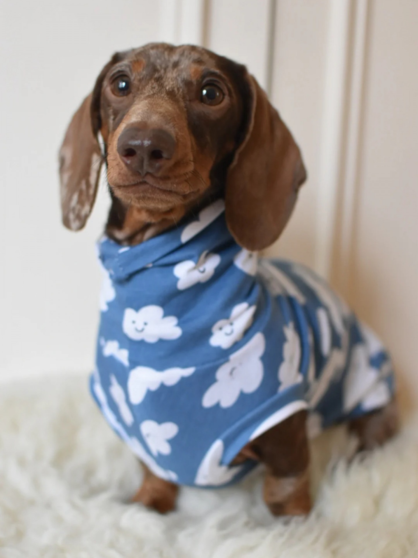 Cloud Cotton jersey
