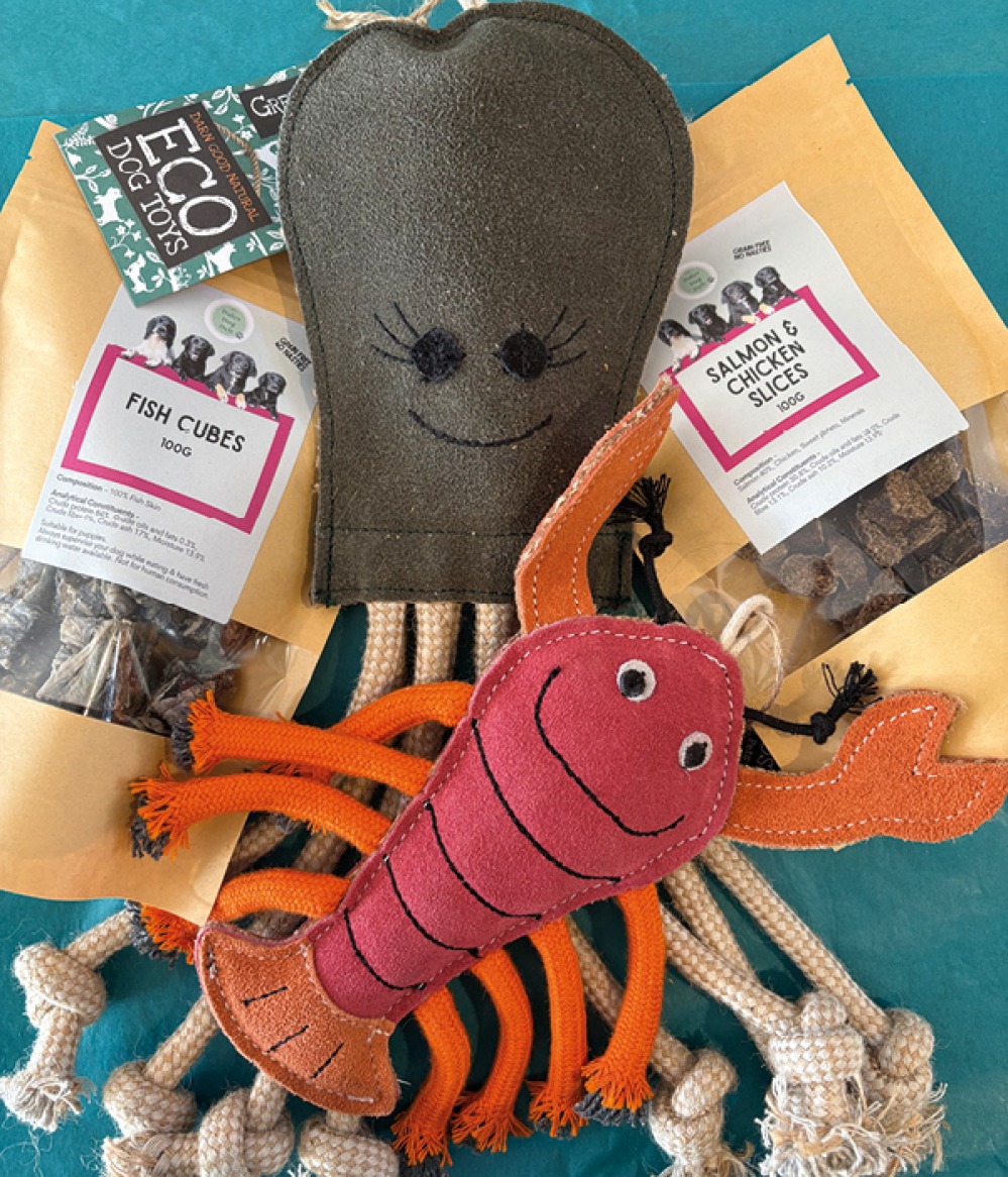 Dog toys and treats
