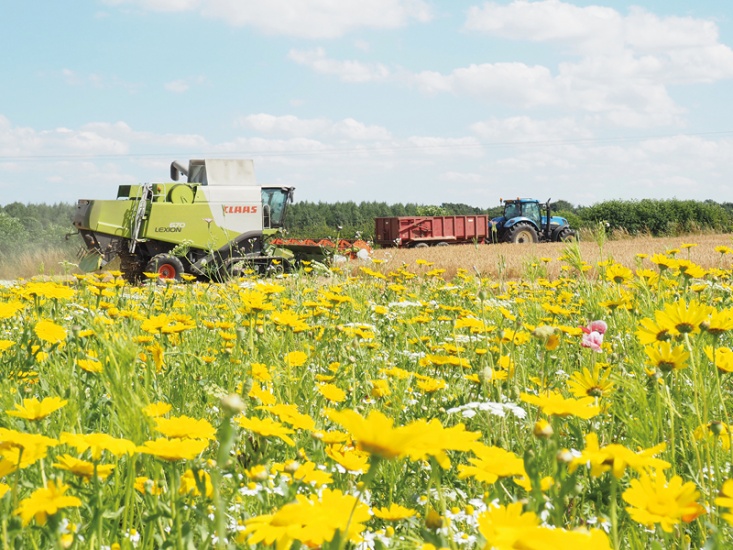 North Yorkshire Farm Using Flowers to Diversify