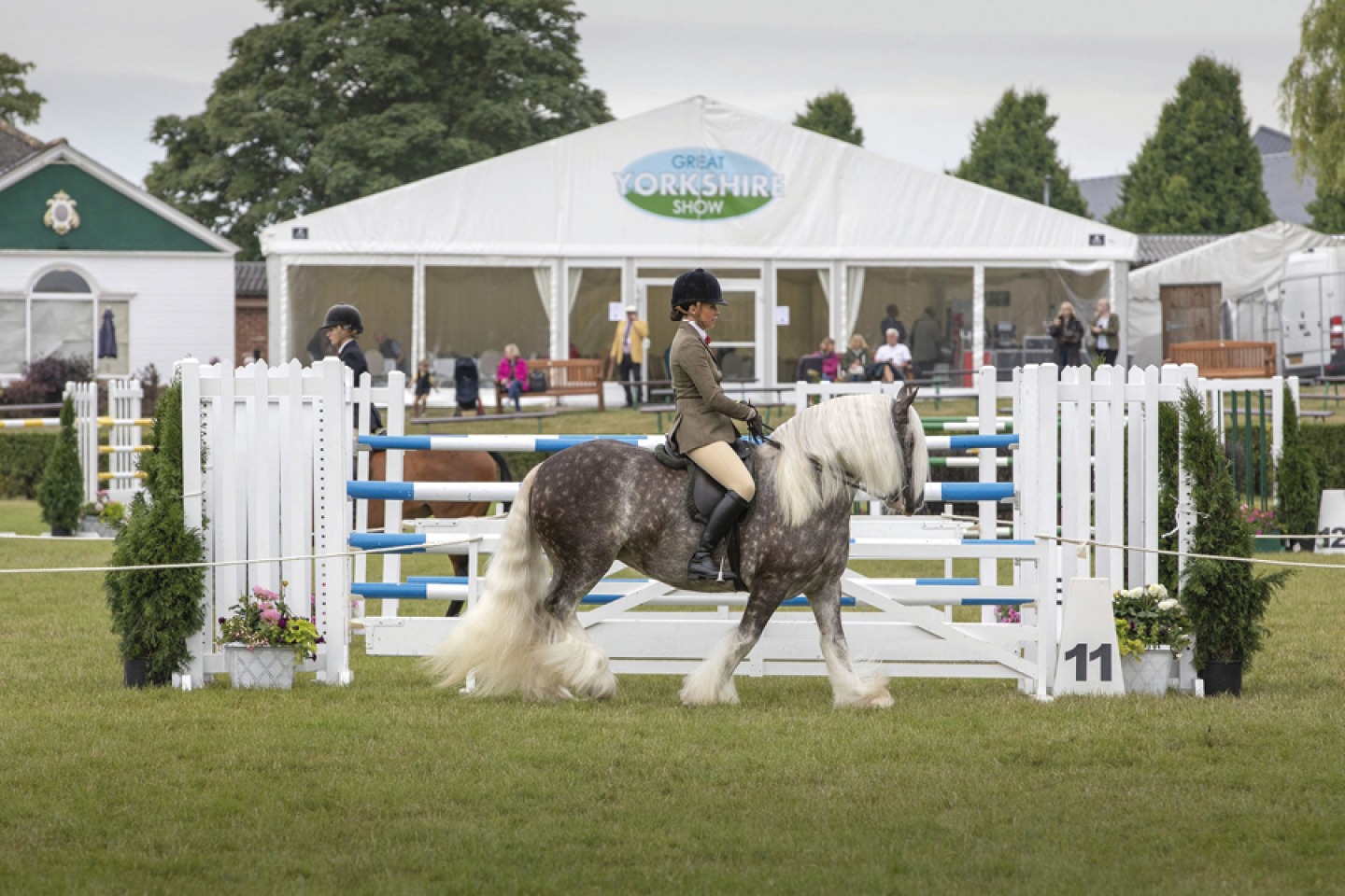 GYS23 Traditional Ridden Cobs in the Main Ring
