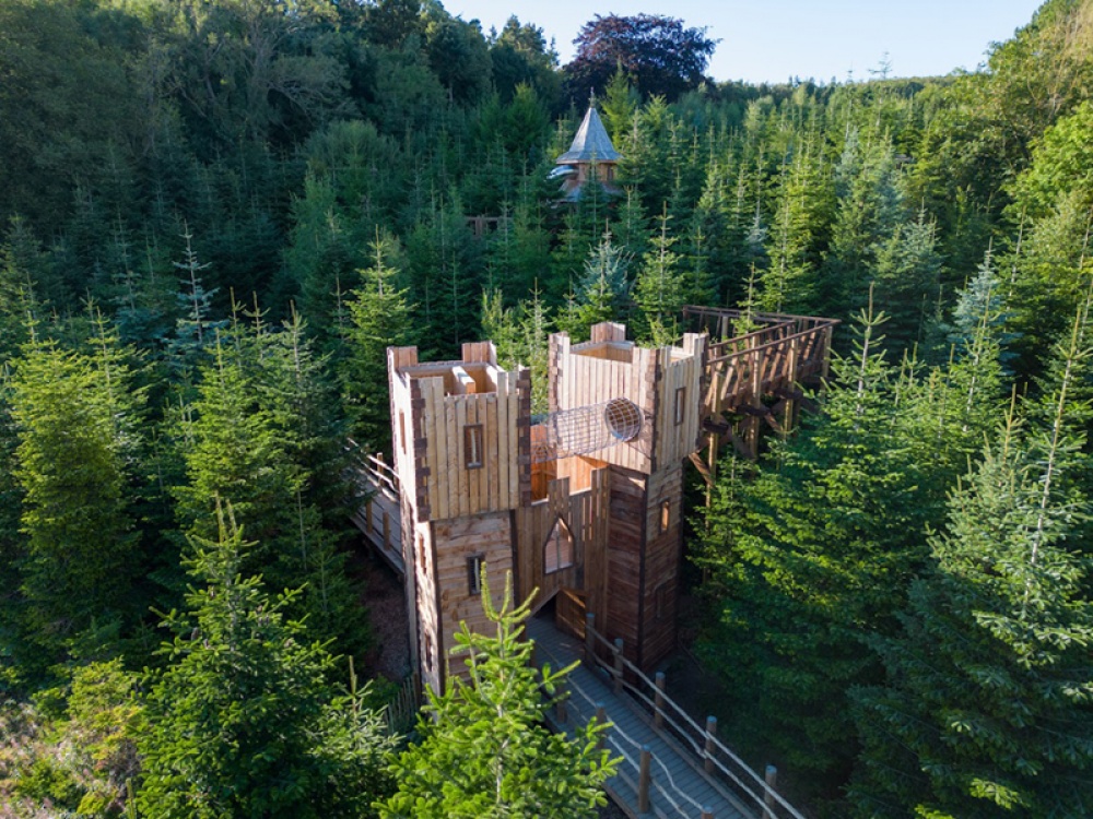 The Plotters' Forest Yorkshire