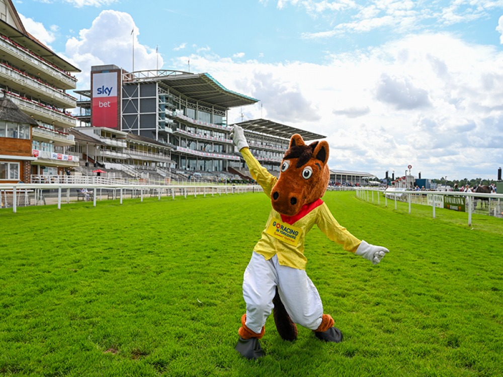 The Go Racing in Yorkshire Summer Festival