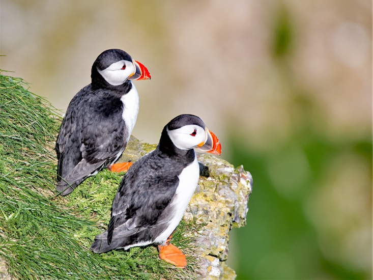 The Best Days Out For Animal Lovers in Yorkshire