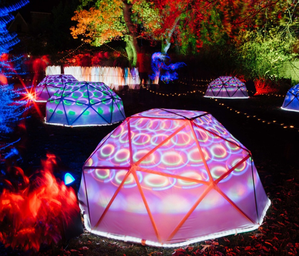 Illuminate The Gardens