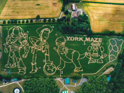 Fun Filled Family Days Out in Yorkshire This Summer