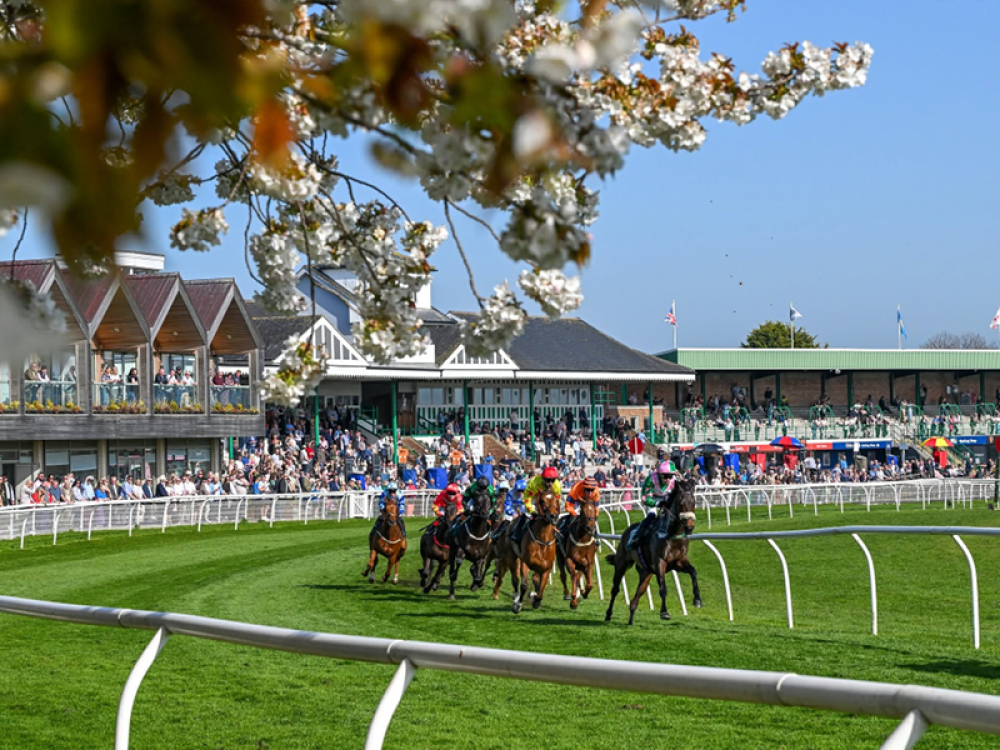 Catterick Racecourse
