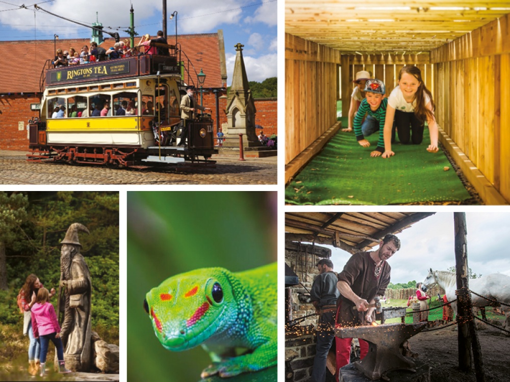 30 Brilliant Family Days Out Across the North East and Yorkshire