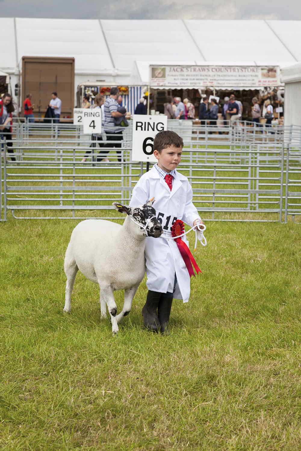 Great Yorkshire Show