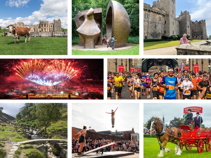 Things to Look Forward to in 2024