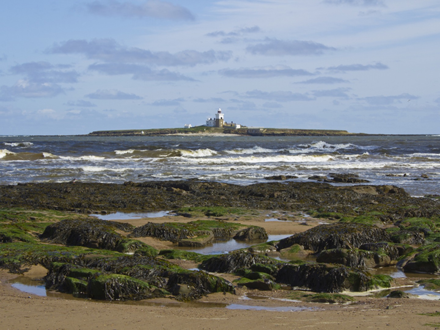 Coquet Island