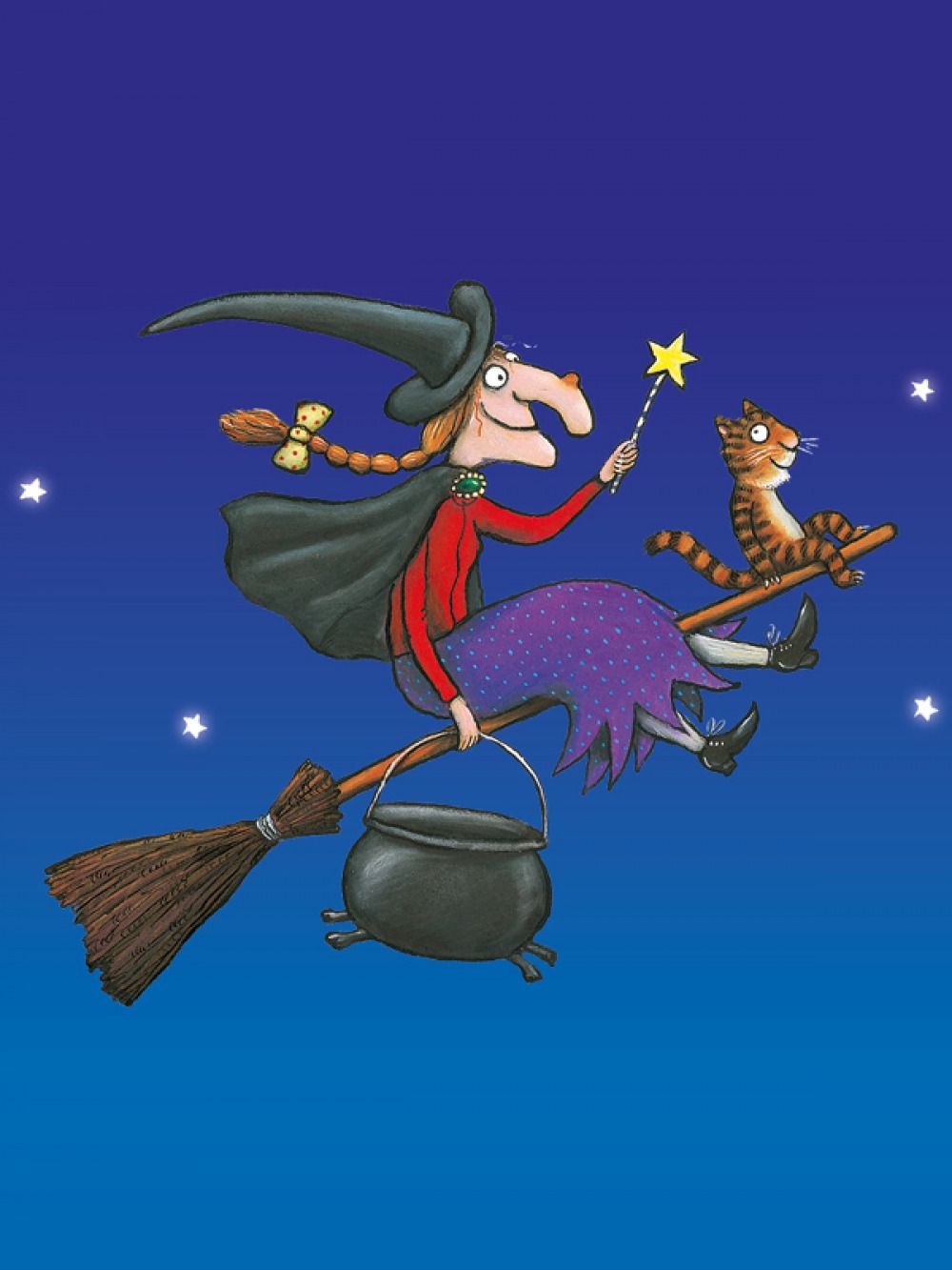 Room on the Broom Illustration