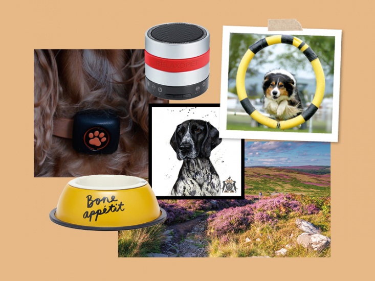 collage of featured content