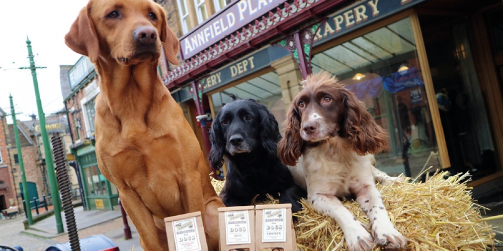 3 dogs sitting on hay behind bagged dog treats