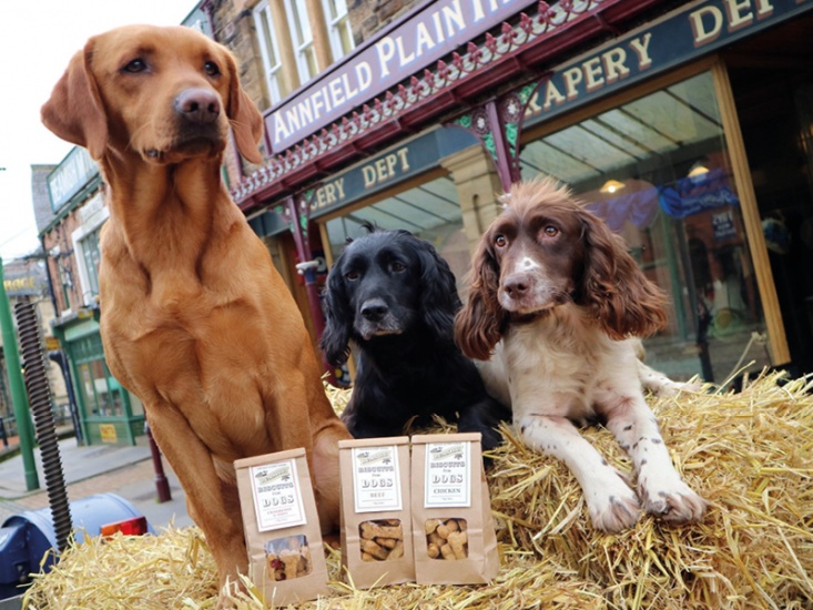 Retreiver, cocker and springer sitting behind bags of dog treats on top of hay