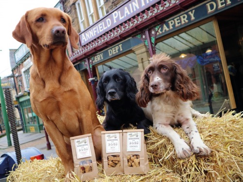 Air Dried Dog Food, Walks and Lavish Leads: What Dog Owners Need to Know This Month