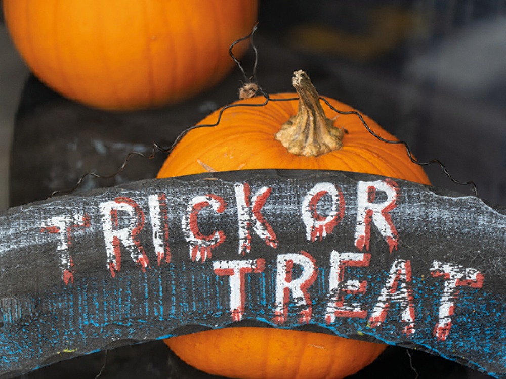 pumpkins with a tick or treat wooden sign