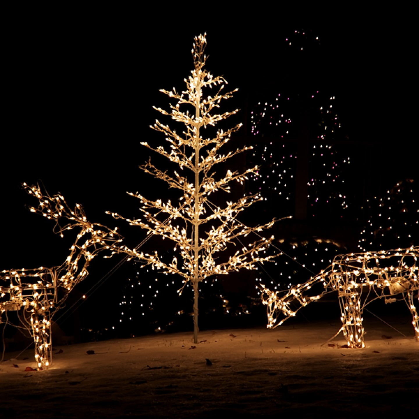 tree and reindeer outdoor figure lights