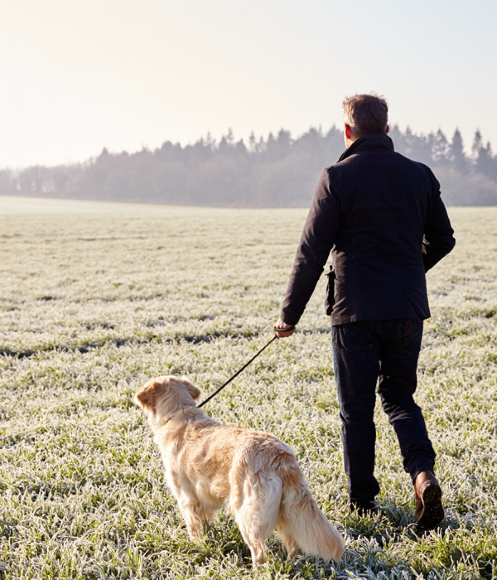 man walking in dog in frosted field
