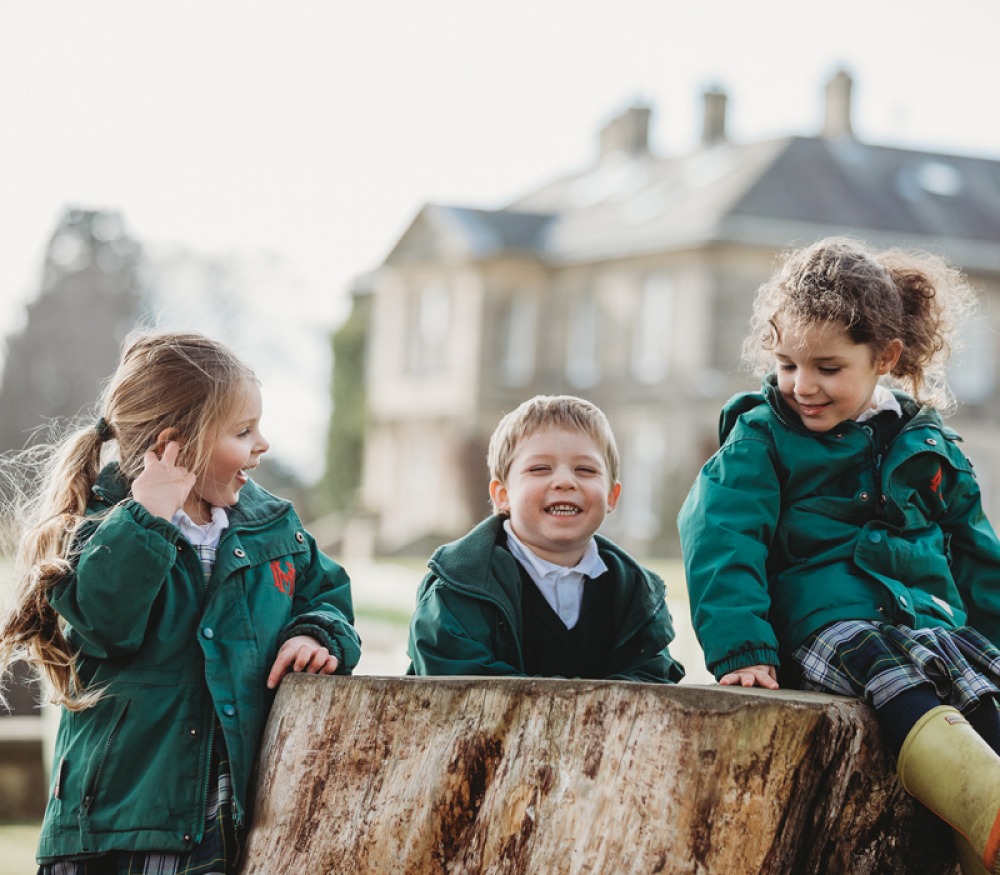 3 children playing on a tree stump