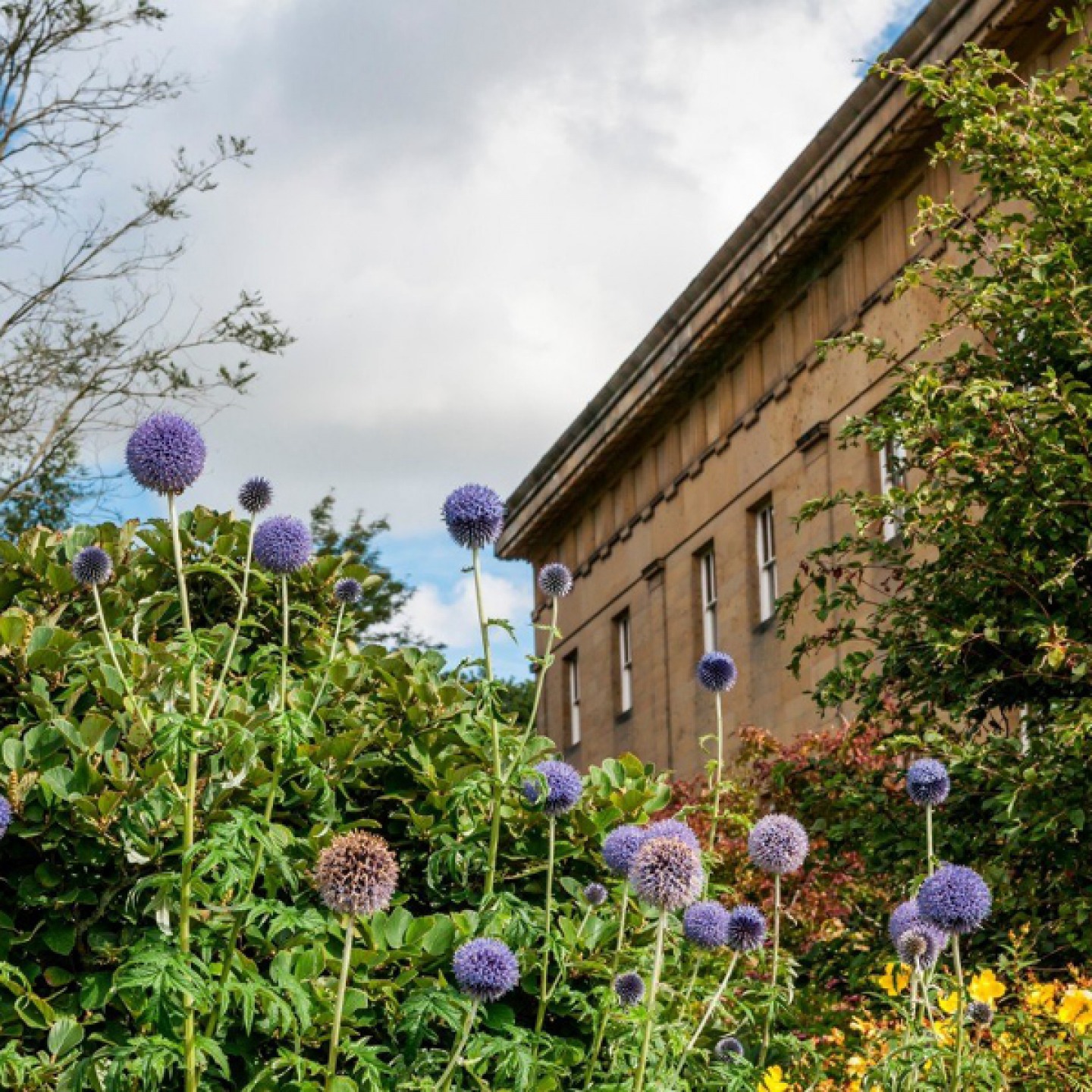 Belsay Hall & Gardens