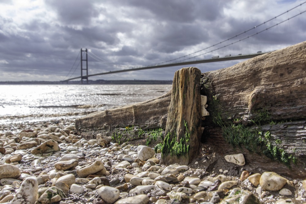 Hull