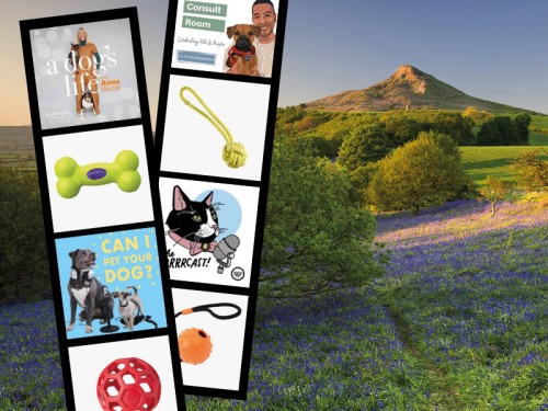 All the Best Ways to Treat Your Pets this Month