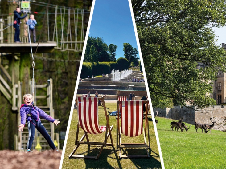 3 images cropped together