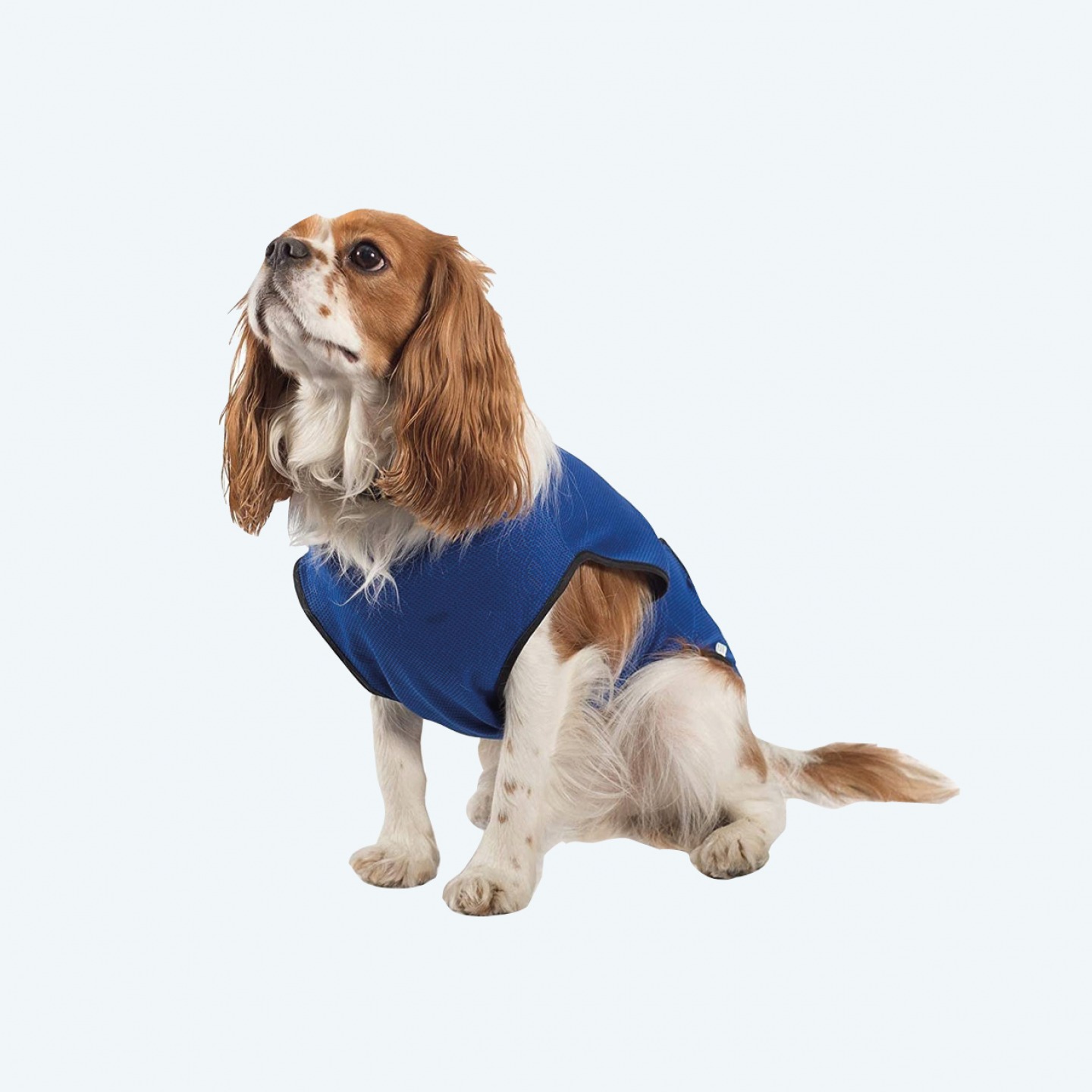 Cooling coat